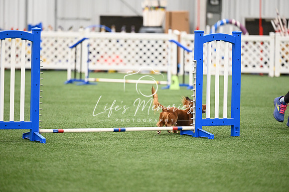 LMP_5177