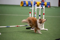 Excellent Master - Jumpers w/ Weaves - 12 - Trial 2