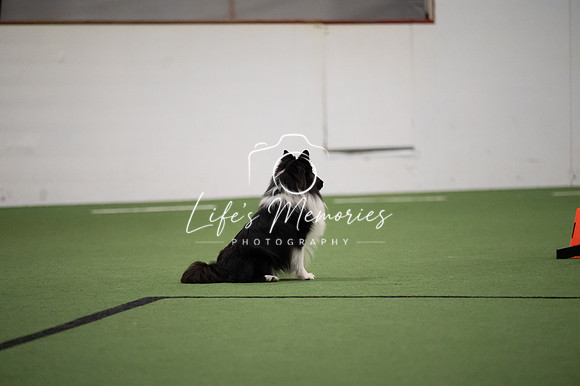 LMP_0931