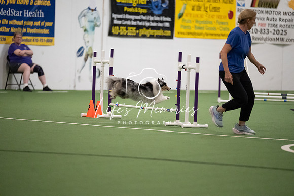LMP_0671