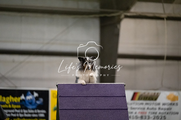LMP_6317