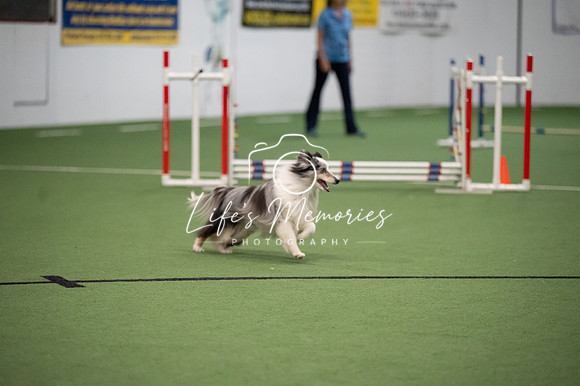 LMP_3272