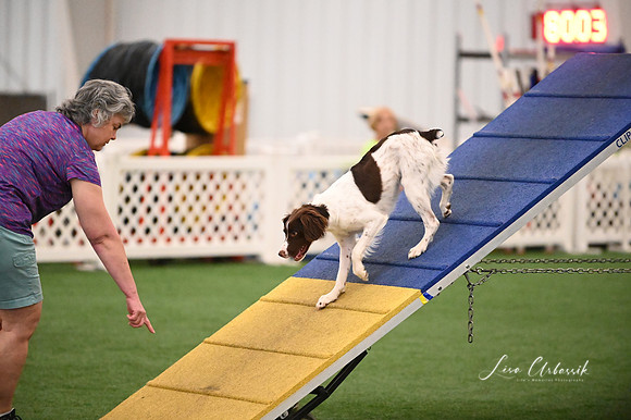 LMP_6706