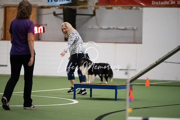LMP_9307
