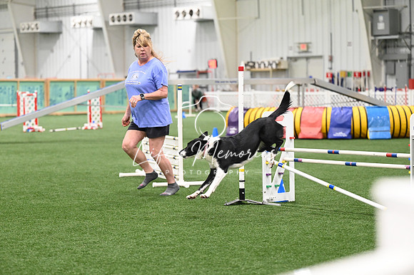 LMP_8052