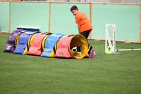 LMP_5938