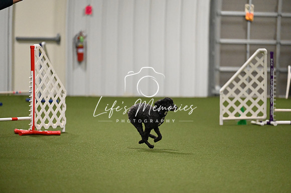 LMP_6368