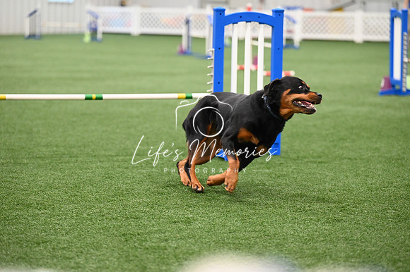 LMP_9179