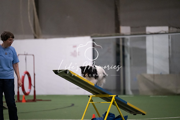 LMP_6557