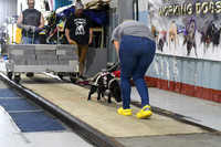 DSC_1529
