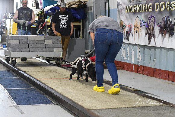 DSC_1529