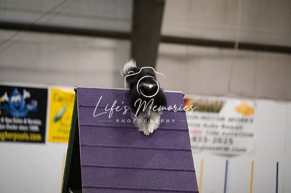 LMP_6435
