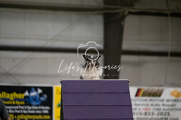 LMP_6315