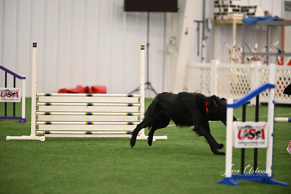 LMP_4447