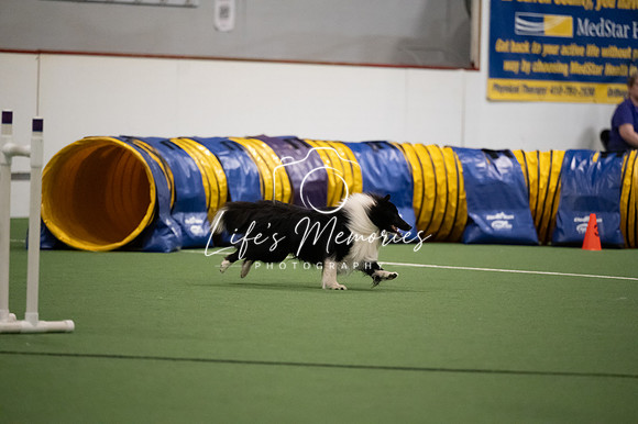 LMP_0847