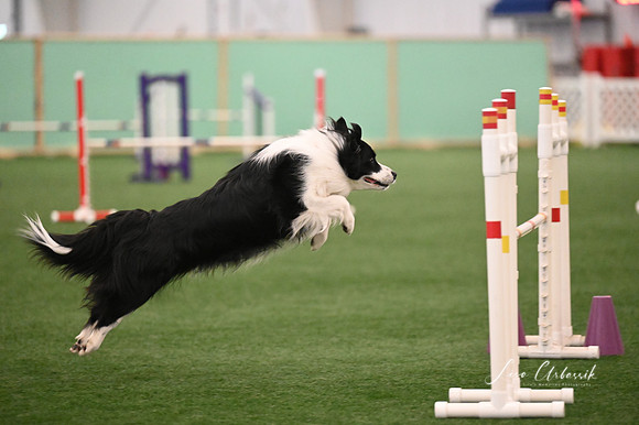 LMP_5728