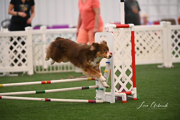 LMP_9881
