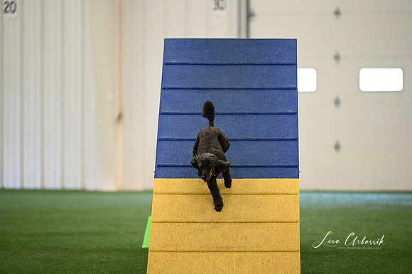 LMP_0031