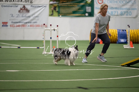 LMP_1580