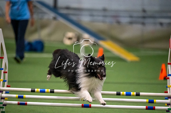 LMP_0636