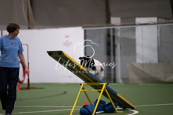 LMP_6555