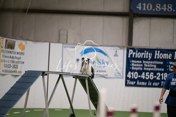 LMP_2406