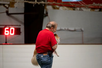 LMP_3238
