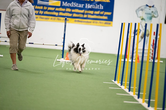 LMP_9199