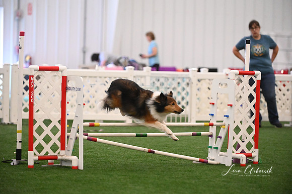 LMP_9598