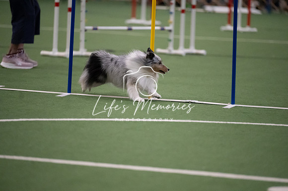 LMP_7430