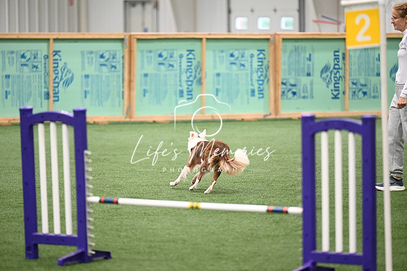 LMP_0261