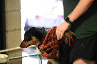 LMP_4679
