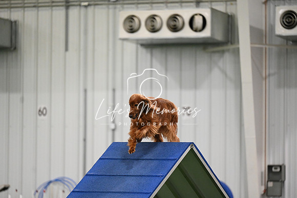LMP_8068