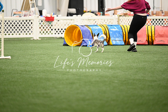 LMP_6897