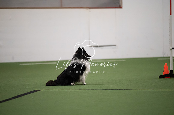 LMP_0934