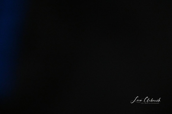 LMP_8631