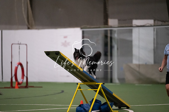 LMP_6619