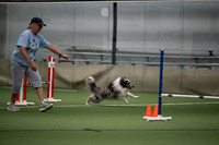 Novice Jumpers w/ Weaves