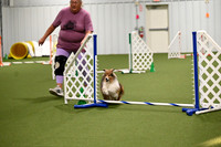 LMP_5979