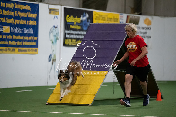 LMP_0533