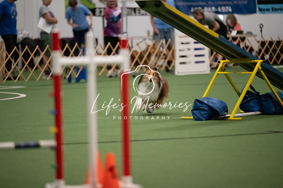 LMP_5876