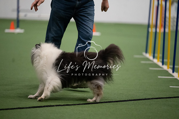LMP_7791
