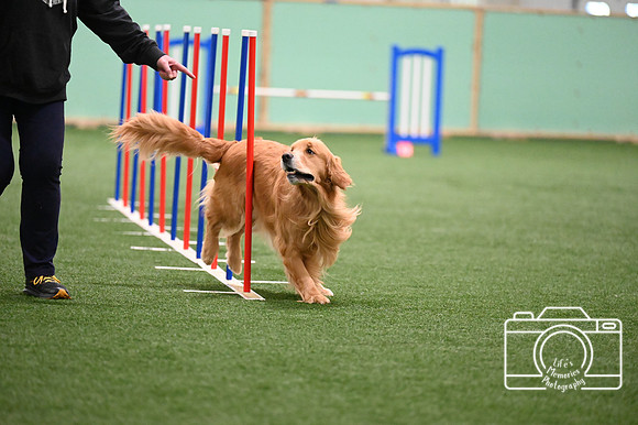 LMP_3919