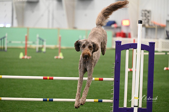 LMP_2511