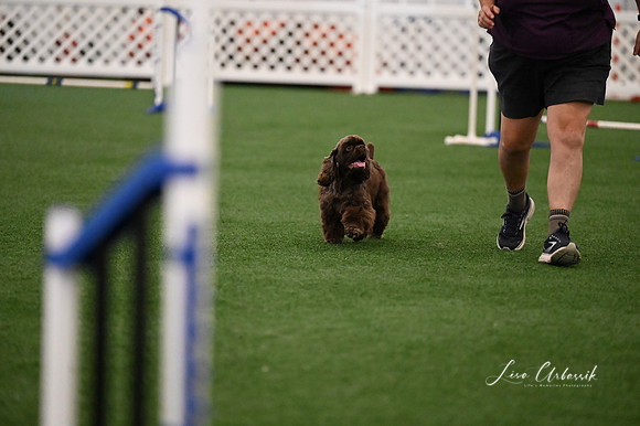 LMP_3294