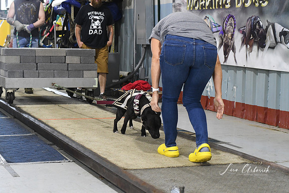 DSC_1532