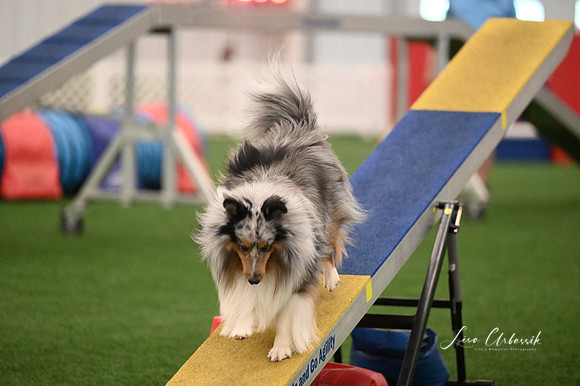 LMP_9701