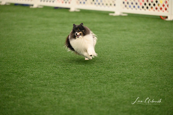LMP_6451