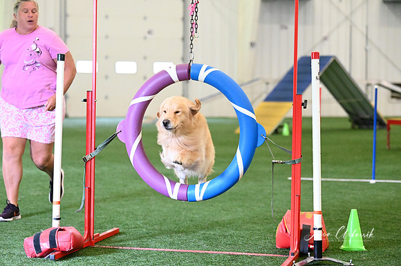 LMP_7472
