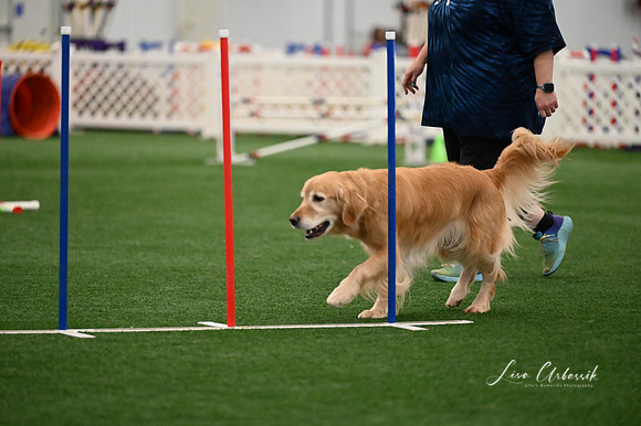 LMP_7511
